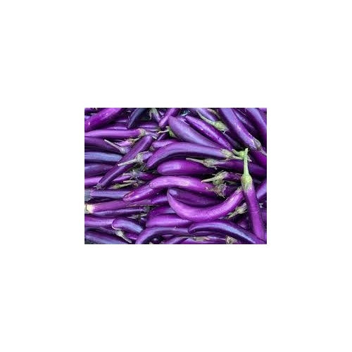 Eggplant Gourmet Vegetable Seeds for Planting [neera-v5-4930181248a7cd1ffcfb]