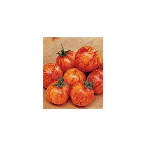 Tomato Vegetable Seeds for Planting [neera-v5-49dea7766ecd8707b9e6]