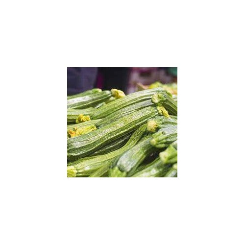 Costata Romanesco Zucchini Seeds for Planting [neera-v5-4a948b1fa64949898624]