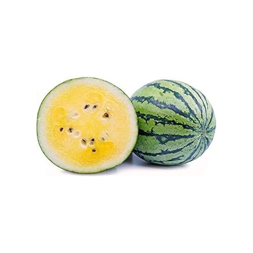 Light Yellow Watermelon Fruit Seeds for Planting [neera-v5-4ad157f0152adfb9748b]