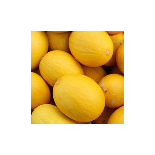Hami Melon Fruit Seeds [neera-v5-4aff8aae16359fa55ad1]
