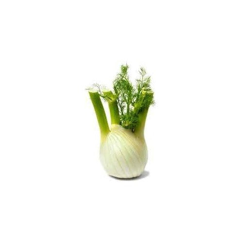 Fennel Seeds for Planting [neera-v5-4b69f8612136be2e3dbf]