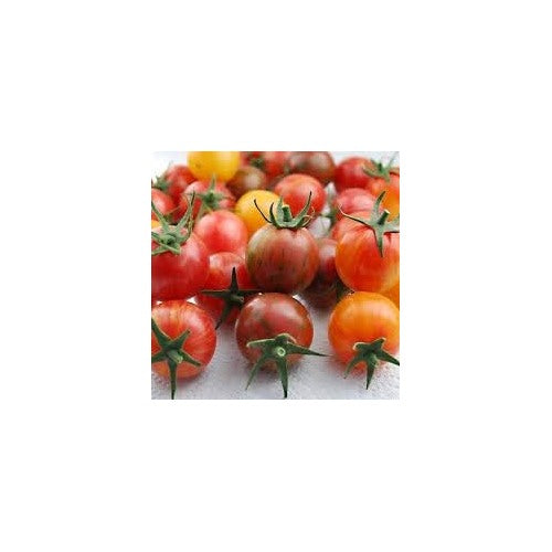 Heirloom Mixed Cherry Tomato Seeds for Planting [neera-v5-4b7622fb044b0126ee77]