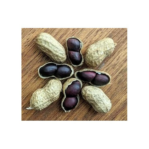 Black Peanut Vegetable Seeds for Planting [neera-v5-4cc66a74aa3fce4b0ee8]