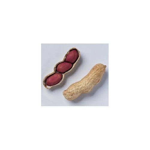 Valencia Peanuts Seeds for Planting [neera-v5-4d4527d82c5c28f7a2d0]