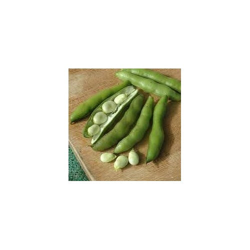 Butterpea Vegetable Seeds for Planting [neera-v5-4d6e97999bd9de52b2fb]