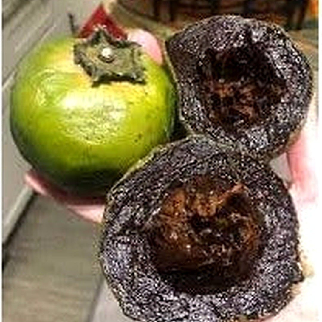 Digyna Fruit Seeds [neera-v5-4d76c710b35f772cb64b]