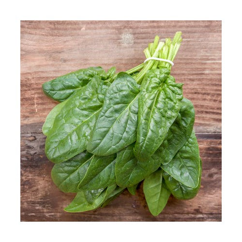 Bloomsdale Long Standing Spinach Seeds for Planting [neera-v5-4d7c1a34c1b45f73249d]