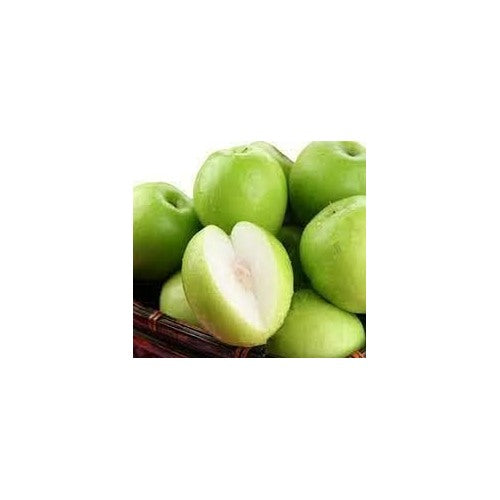 Yellow Korean Melon Seeds for Planting | Heirloom Non-GMO Organic Seeds for Sweet, Refreshing Melons [neera-v5-4e2e21990fa79c91cf7e]