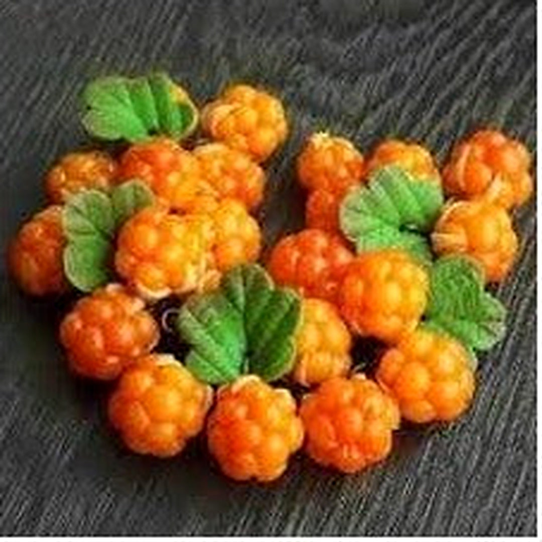 Orange Cloudberry Fruit Seeds for Planting [neera-v5-4e55f1cd848fd0c3fb2e]