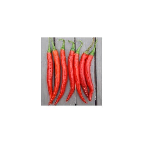 Dedo de Moca Pepper Seeds [neera-v5-4f7870886c16517901b0]
