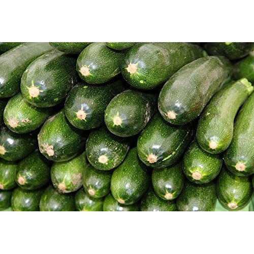 Zucchini Black Beauty Seeds [neera-v5-4fc77841f8660caa7a71]