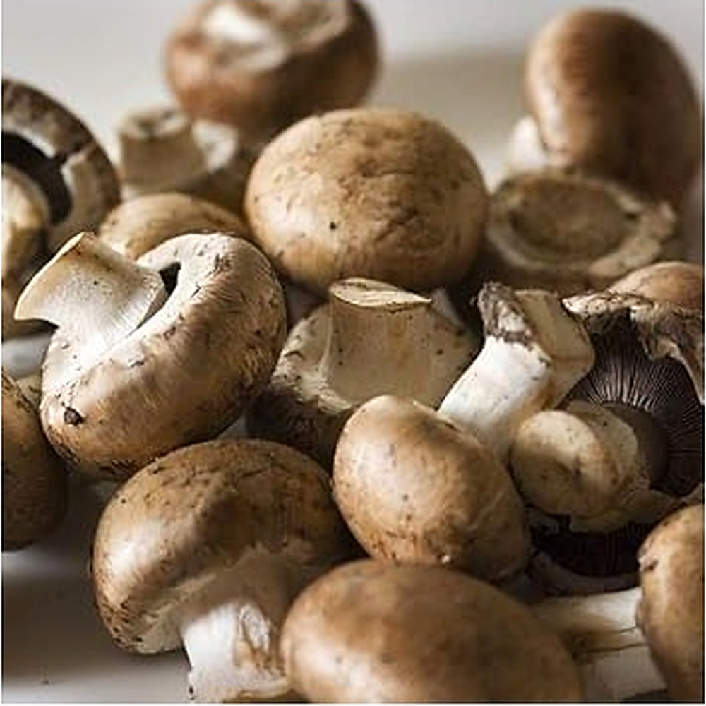 Light Brown Mushroom Seeds for Planting [neera-v5-4fdae4b7d015e49df632]