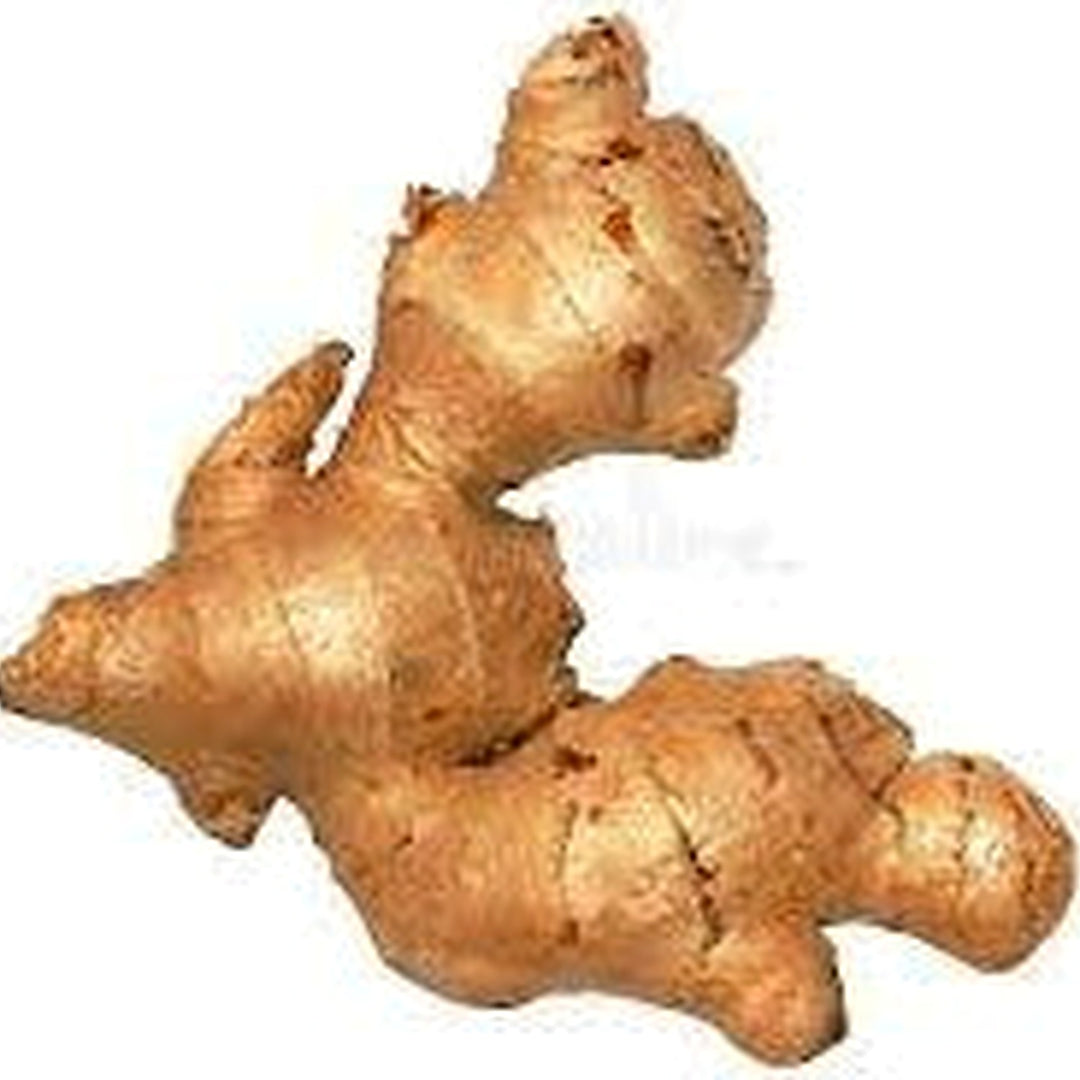 Mixed Perennial Ginger Seeds for Planting [neera-v5-50ee4ec0485000175de0]