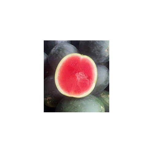 Black Diamond Watermelon Fruit Seeds for Planting [neera-v5-517e50357d8756081c77]