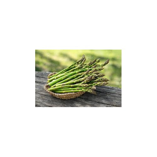 Green Asparagus Virgatus Plant Seeds for Planting [neera-v5-5415301813a2035df41e]