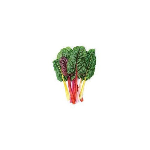Swiss Chard Rainbow Seeds [neera-v5-542e318c52e29668a35f]