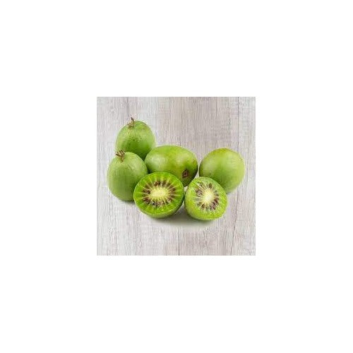 Issai Kiwi Fruit Seeds for Planting [neera-v5-5430b0593d2df01ca824]