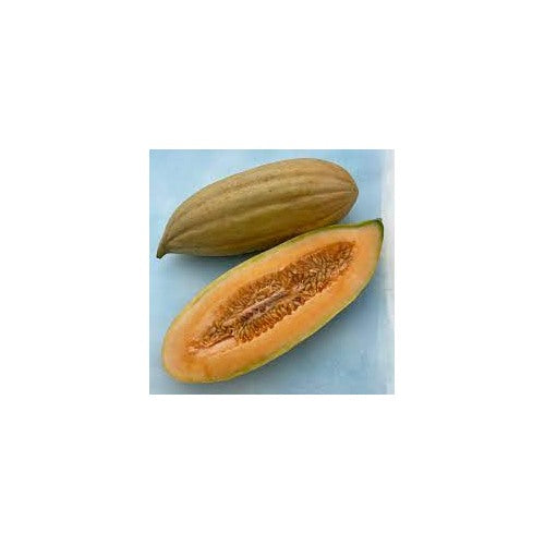 Gold Banana Melon Fruit Seeds for Planting [neera-v5-547aa0334621b212e16f]