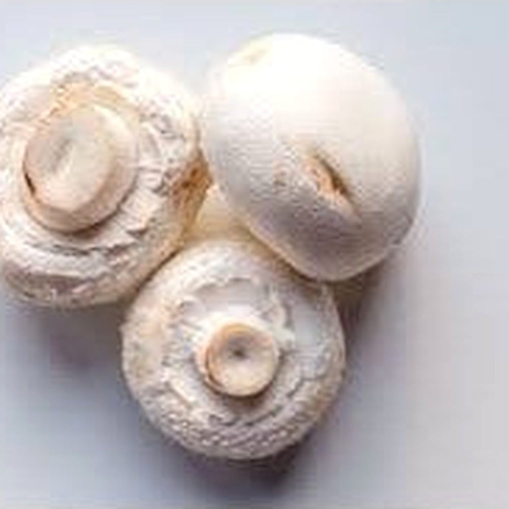 Button Mushroom Seeds for Planting [neera-v5-54b8bfe58ded09855d94]