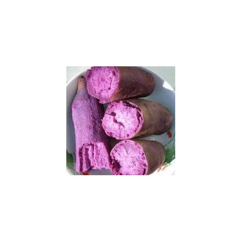 Heirloom Sweet Potato Vegetable Seeds [neera-v5-553976ee6cc39177f06e]