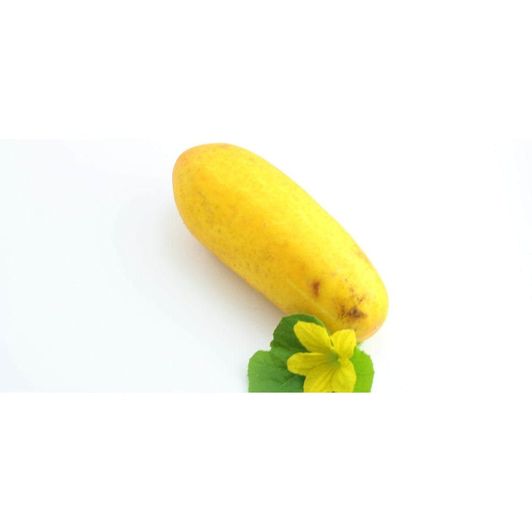 Heirloom Cucumber Grape Jelly Seeds for Planting [neera-v5-56bcaa6237c741323612]