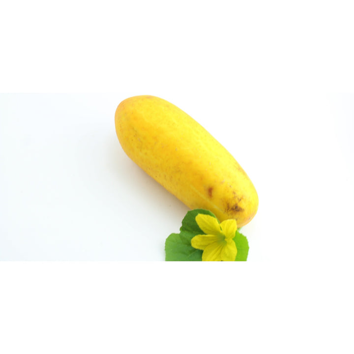Heirloom Cucumber Grape Jelly Seeds for Planting [neera-v5-56bcaa6237c741323612]