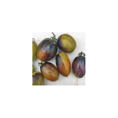 Atomic Grape Tomato Vegetable Seeds for Planting [neera-v5-572e25b1d1494922e3e1]
