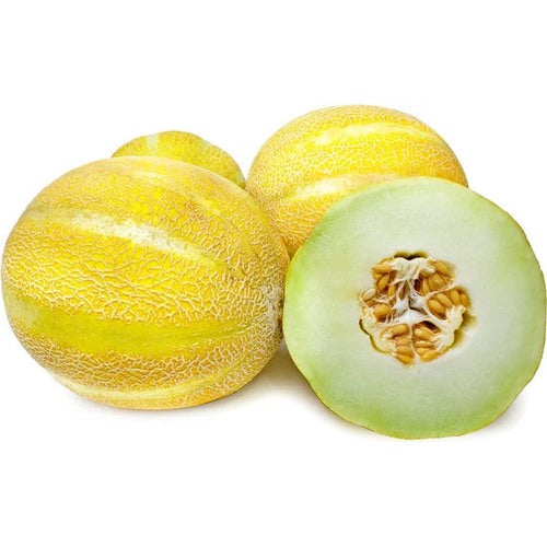 Lemon Drop Melon Seeds for Planting [neera-v5-576717da17740ba190de]