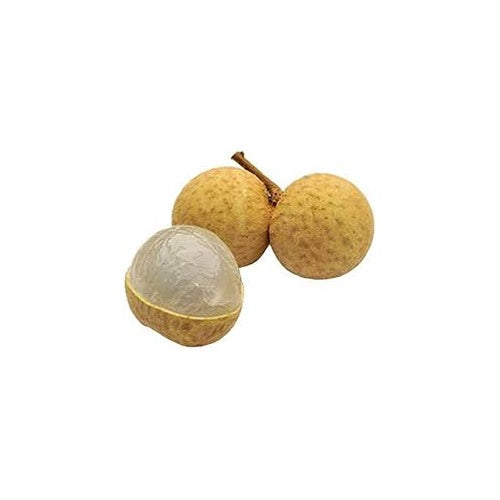 Dragon’s Eye Fruit Seeds for Planting [neera-v5-579afa45a3479e5954af]
