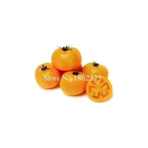 Yellow Tomato Seeds for Planting [neera-v5-580654181f8f0f1c5116]