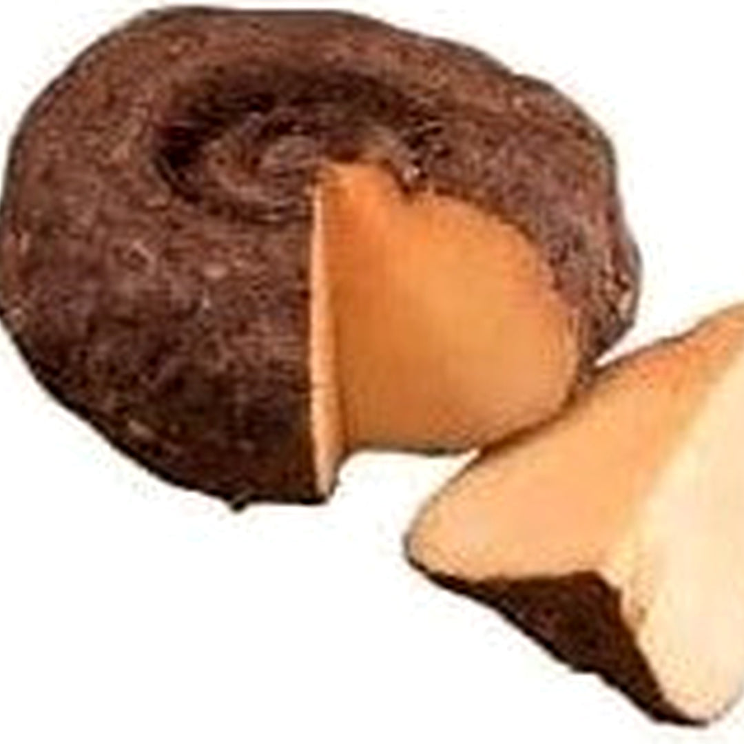 Elephant Foot Yam Plant Seeds for Planting [neera-v5-5820f42dda0a60f24b4b]