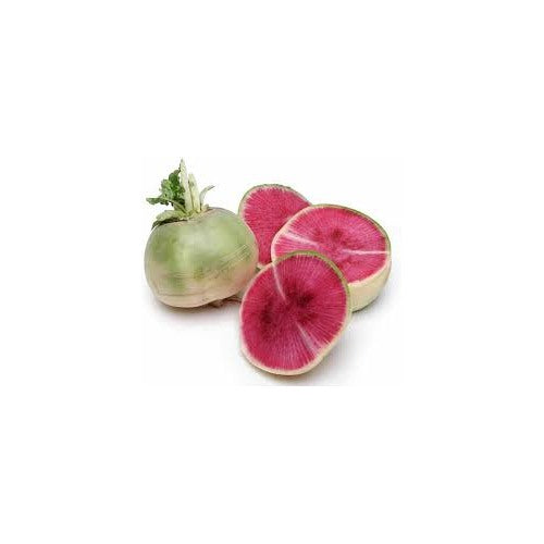 Watermelon Radish Seeds for Planting [neera-v5-5916908fb3fb9ddaca10]