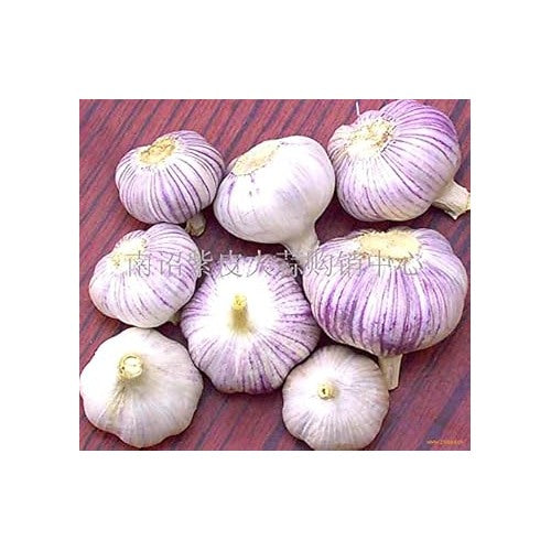 Purple White Garlic Seeds for Planting [neera-v5-5a43adb8ef93b3f78d86]