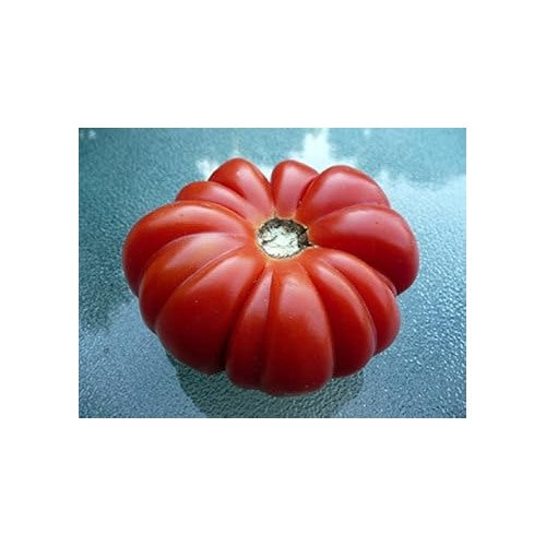 Red Costoluto Tomato Seeds for Planting [neera-v5-5a8970cfe91e7b48c480]