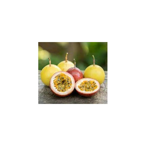 Burgundy Alubukhara Plum Seeds [neera-v5-5ac8223643c37b00a2ac]