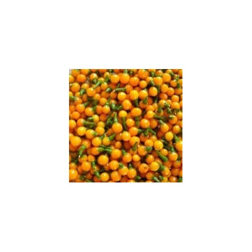 Aji Pepper Vegetable Seeds for Planting [neera-v5-5b0fe70eb54e3f9c0536]
