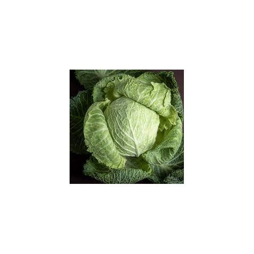 Cabbage TEMP Round Hybrid Seeds [neera-v5-5b1d05e682027858a623]