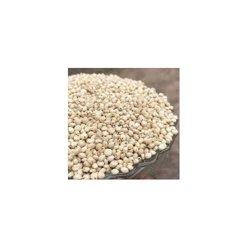 White Proso Millet Seeds for Planting [neera-v5-5b341c60902748e74f18]
