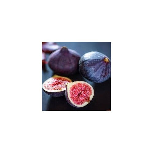 Sweet Fig Fruit Seeds for Planting [neera-v5-5bc9508937e3008618c8]