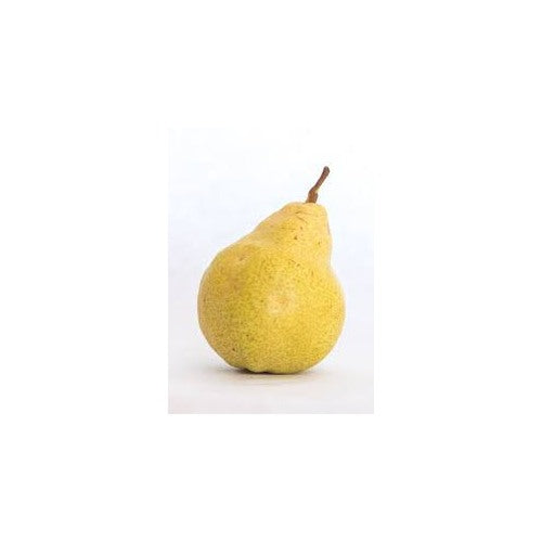 Yellow Bartlett Pear Fruit Seeds for Planting [neera-v5-5bdc2be33ea738186a4d]