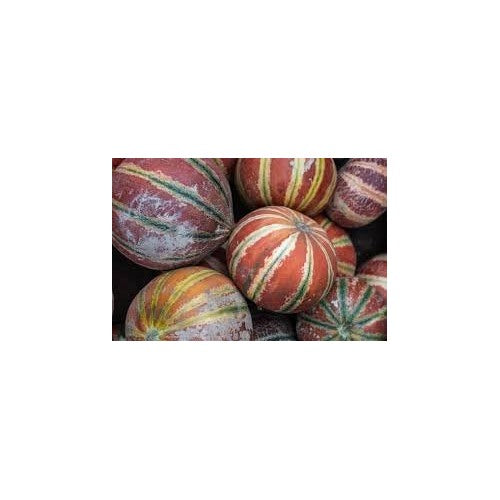 Heirloom Non-GMO Kajari Melon Seeds for Rare Exotic Fruit Garden Planting [neera-v5-5c681e4758a482038bb3]
