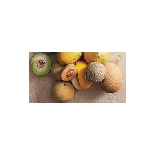 Grey Cantaloupe Fruit Seeds for Planting [neera-v5-5cd34d4c20db1f457544]