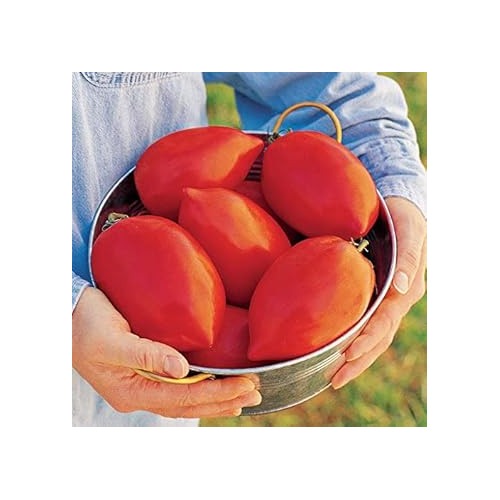Big Red Tomato Seeds for Planting [neera-v5-5cdede374e128d4023c2]