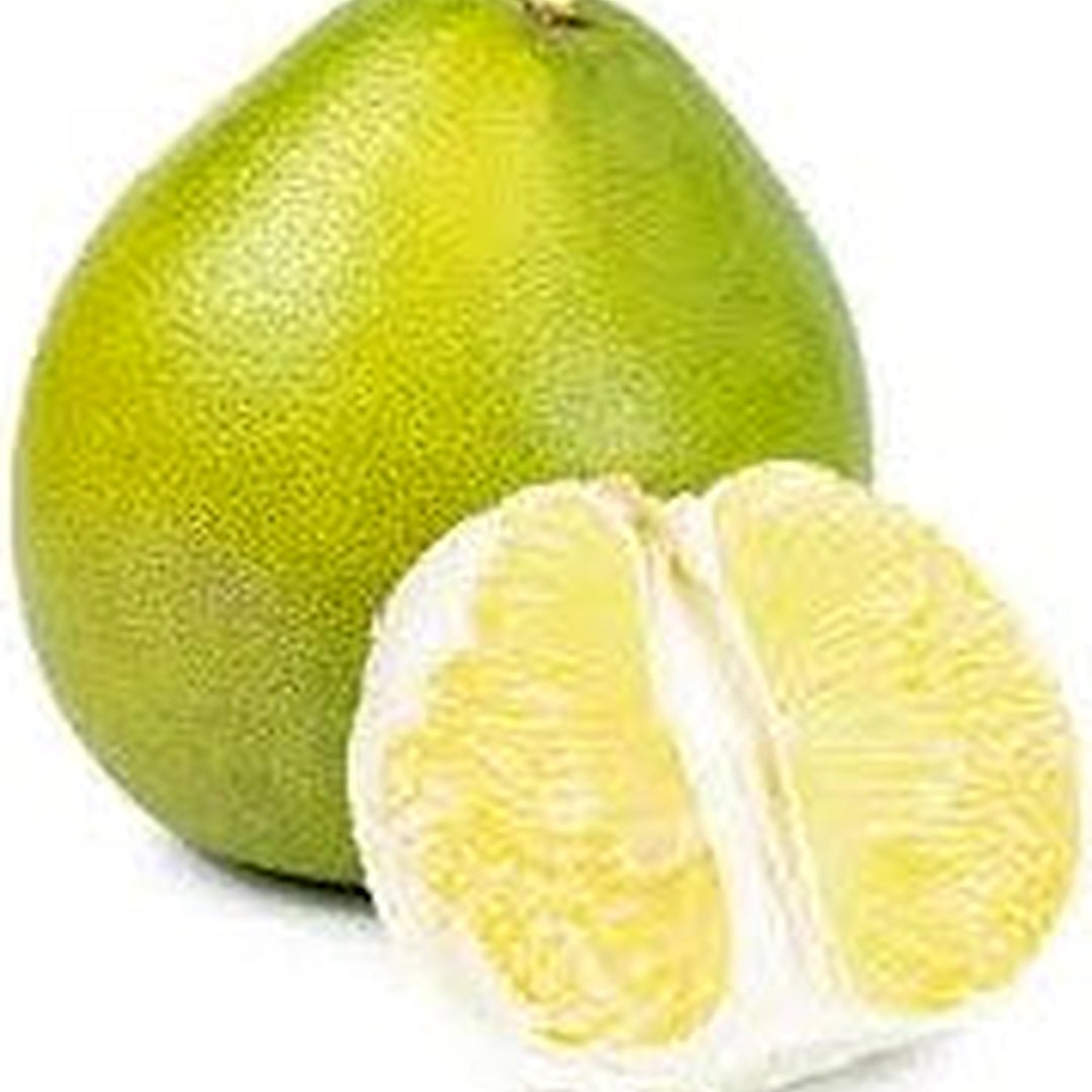 Nam Roi (Vietnamese White Pomelo) Fruit Seeds for Planting [neera-v5-5cfe1044454762697859]