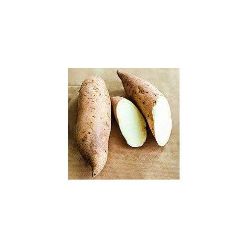Brown Sweet Potato Seeds for Planting [neera-v5-5d121f3c89661773025d]