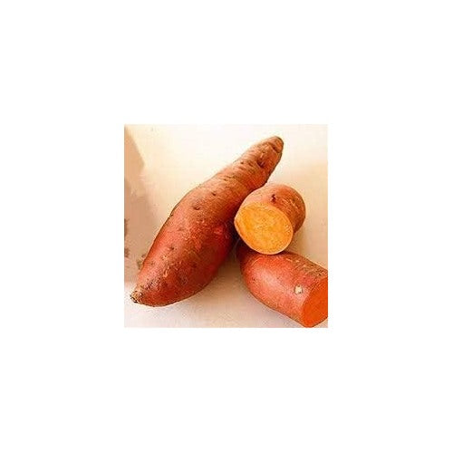 Orange Sweet Potato Vegetable Seeds for Planting [neera-v5-5d2c1de600cb44f50988]