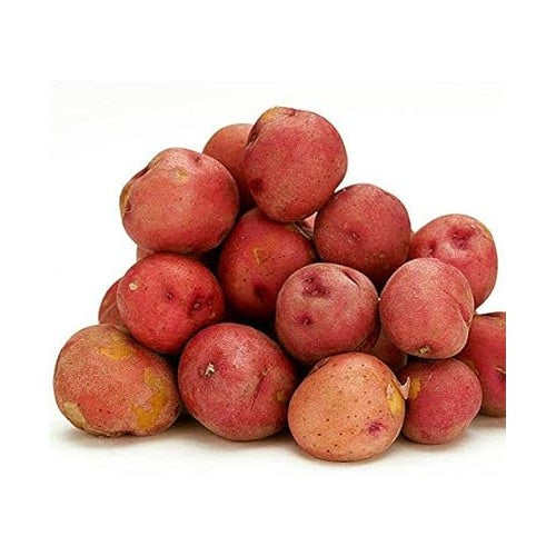 Red Potato Vegetable Seeds for Planting [neera-v5-5d46f8b28315552ae8d2]