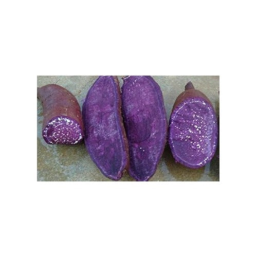 Purple Sweet Potato Seeds for Planting [neera-v5-5d6ec68b6ab287fa6b9a]