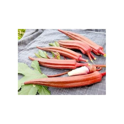 Orange Okra Seeds for Planting [neera-v5-5d89f39d29fb874ec2b4]